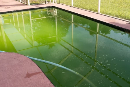 L’eau de ma piscine est verte, que faire ? Nos conseils ! 